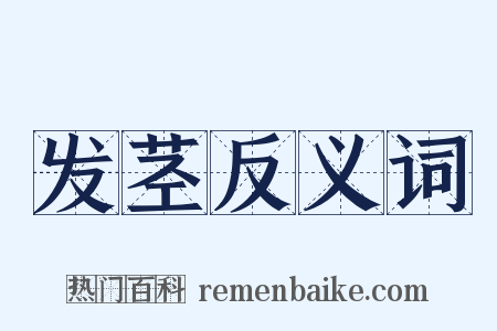 发茎反义词是什么意思的图片